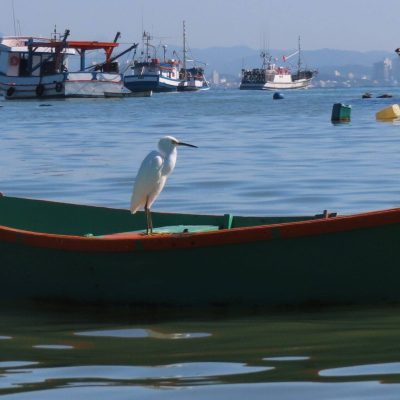 Praia do Trapiche (9) - Copia